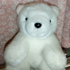 昔の写真の焼き増しはコンビニでOK  白くま父さんブログ